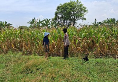 Bhabinkamtibmas Polsek Gadingrejo Aktif Dampingi Kelompok Tani Dukung Ketahanan Pangan Nasional