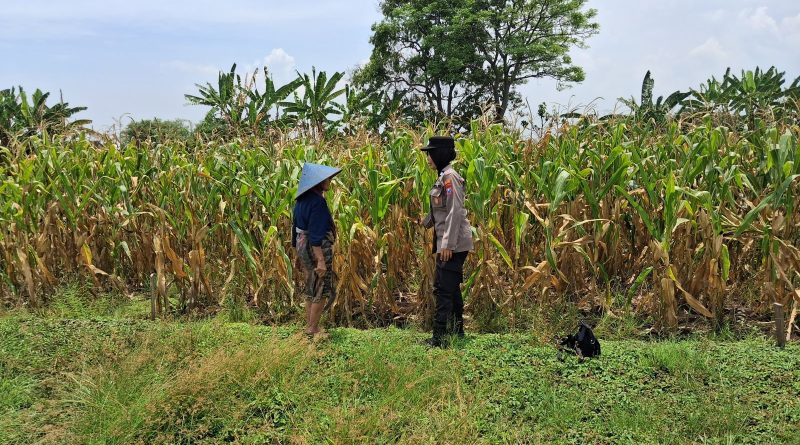 Bhabinkamtibmas Polsek Gadingrejo Aktif Dampingi Kelompok Tani Dukung Ketahanan Pangan Nasional
