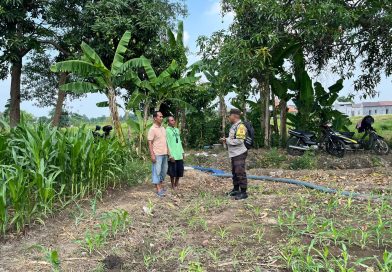 Bhabinkamtibmas Polsek Pohjentrek Aktif Dampingi Petani, Dukung Ketahanan Pangan Nasional