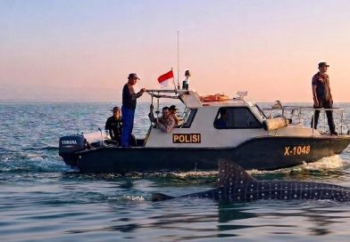 Patroli Rutin Satpolair Polres Pasuruan Kota Perkuat Keamanan Perairan dan Lindungi Kemunculan Hiu Tutul