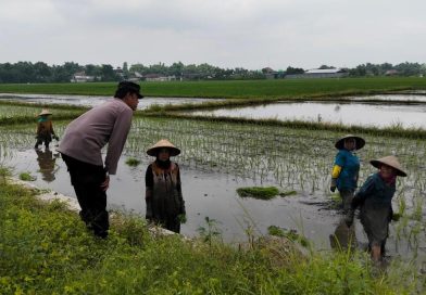 Dukung Asta Cita Presiden, Bhabinkamtibmas Polsek Rejoso Dampingi Petani Wujudkan Swasembada Pangan